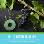 Load image into Gallery viewer, VELCRO Brand Adjustable Plant Ties | 75 ft x 1/2 in Green Garden Tape | Reusable, Cut-to-Length Hook &amp; Loop Plant Support for Staking, Training &amp; Organizing Tomatoes, Vines, and Flowers
