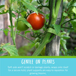 Load image into Gallery viewer, VELCRO Brand Adjustable Plant Ties | 75 ft x 1/2 in Green Garden Tape | Reusable, Cut-to-Length Hook &amp; Loop Plant Support for Staking, Training &amp; Organizing Tomatoes, Vines, and Flowers
