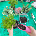 Load image into Gallery viewer, 6-Pack Garden Tool Set, Soil Sifter Shovel (3.8 &amp; 5mm Mesh) - Stainless Steel Gardening Kit &amp; Essential Accessories, Garden Hand Tools &amp; Planting Tools, Ideal Gardening Gifts for Women, Men, Mom &amp; Dad
